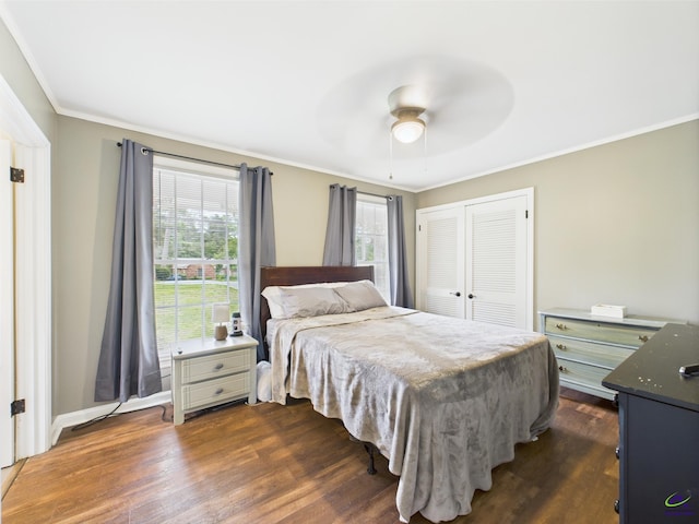 bedroom with crown molding, ceiling fan, dark wood-type flooring, and a closet