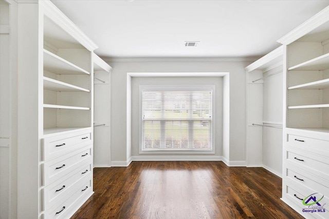 walk in closet with visible vents and dark wood-style floors