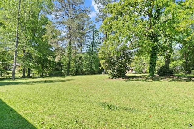 718 Dogwood Cir, Macon, GA 31210 - view of yard