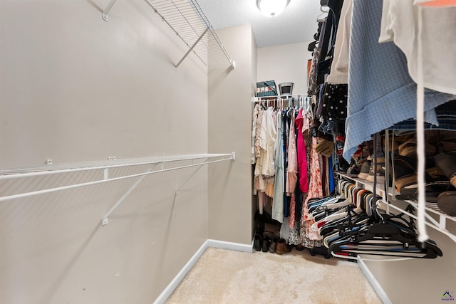 walk in closet with carpet