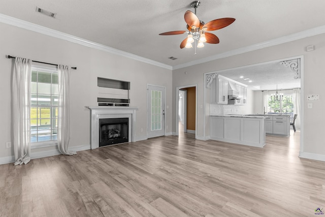 465 Pitts Rd, Hawkinsville, GA 31036 - unfurnished living room featuring light wood-style floors, baseboards, a fireplace, ornamental molding, and ceiling fan