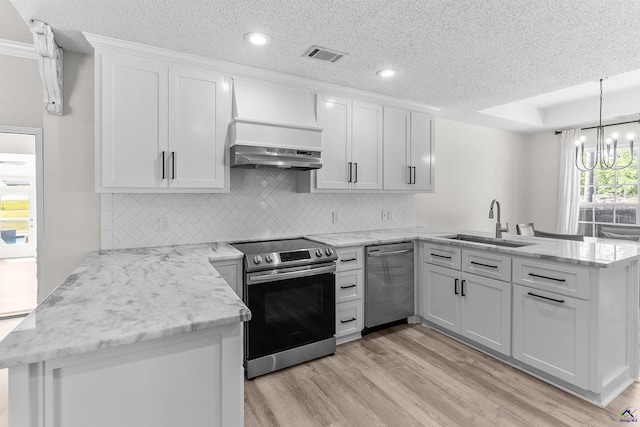 465 Pitts Rd, Hawkinsville, GA 31036 - kitchen with stainless steel appliances, a peninsula, a sink, range hood, and light wood-style flooring
