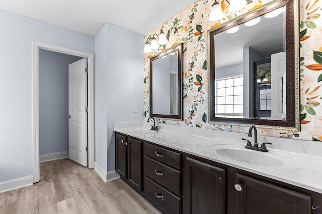 465 Pitts Rd, Hawkinsville, GA 31036 - full bathroom with wood finished floors, a textured ceiling, double vanity, and baseboards