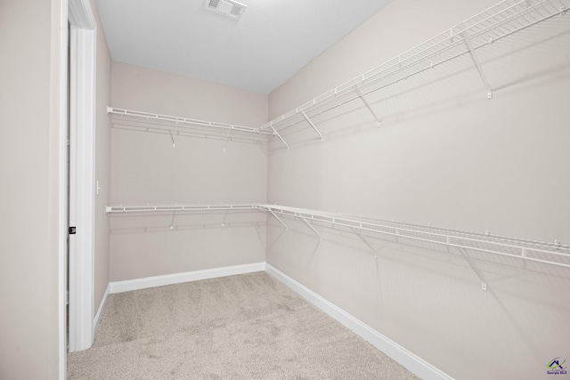 spacious closet featuring carpet flooring