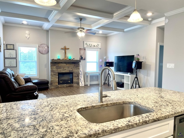 kitchen with open floor plan, a sink, light stone counters, wood finished floors, and white cabinetry