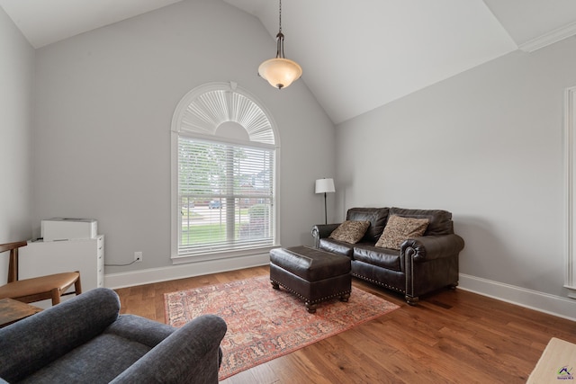 living room with lofted ceiling, wood finished floors, and baseboards