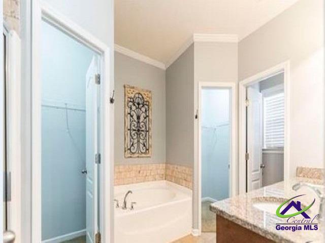bathroom featuring ornamental molding, vanity, a garden tub, and a spacious closet