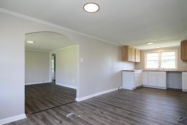 118 Wimberly Rd, Hawkinsville, GA 31036 - kitchen featuring crown molding, a sink, dark wood-style flooring, arched walkways, and open floor plan
