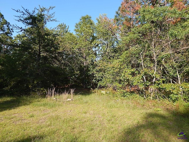 7085 US Highway 341 S, Roberta, GA 31078 - view of woods