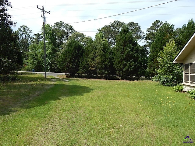 7085 US Highway 341 S, Roberta, GA 31078 - view of grassy yard