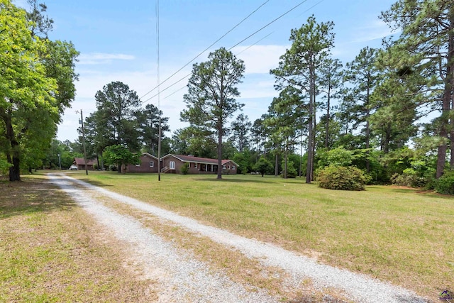 view of dirt / gravel road