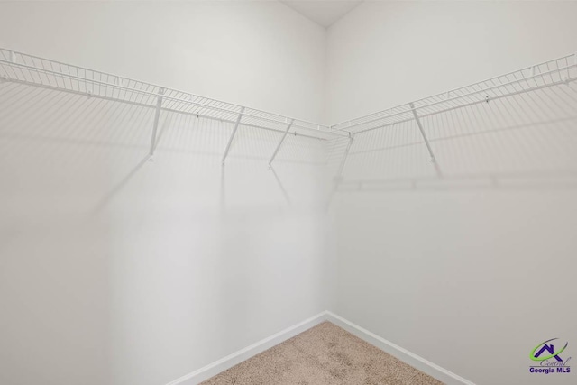 spacious closet with carpet