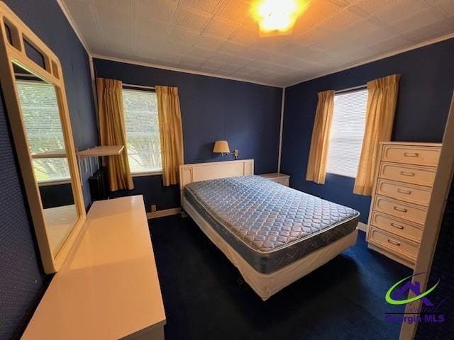 726 Mcarthur Blvd, Warner Robins, GA 31093 - bedroom with multiple windows and dark carpet