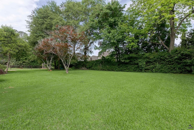 view of yard