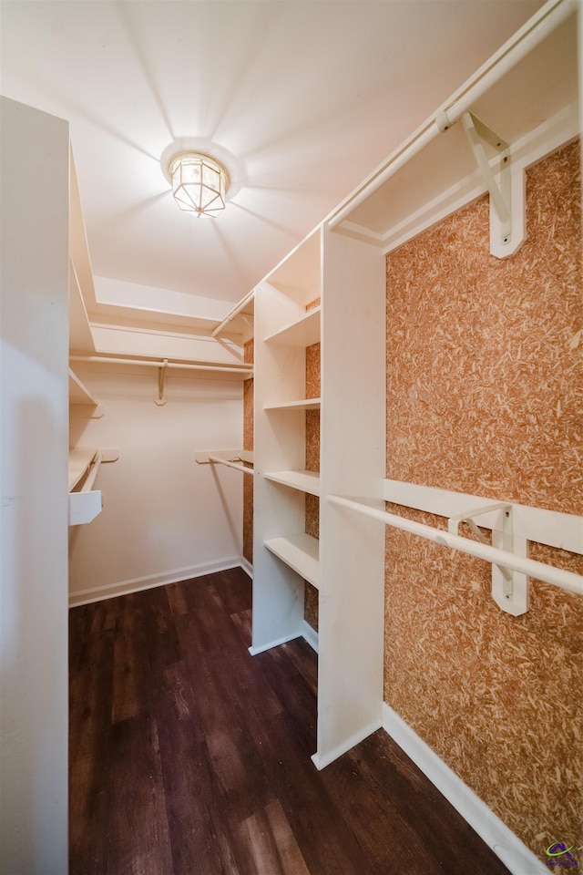 100 Cliff Pointe Pointe, Warner Robins, GA 31088 - walk in closet with wood finished floors