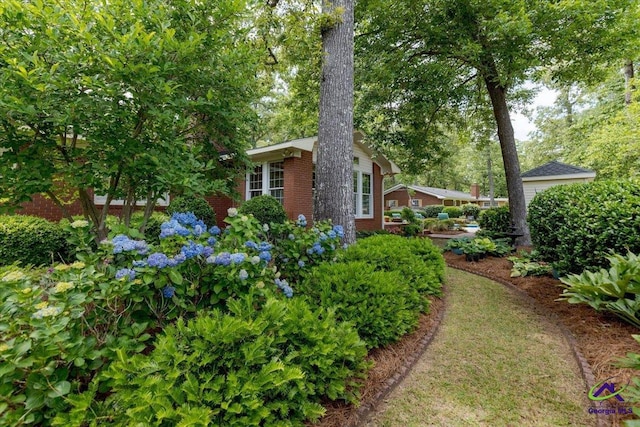view of yard