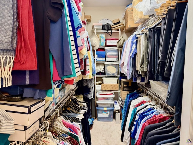 spacious closet with carpet floors