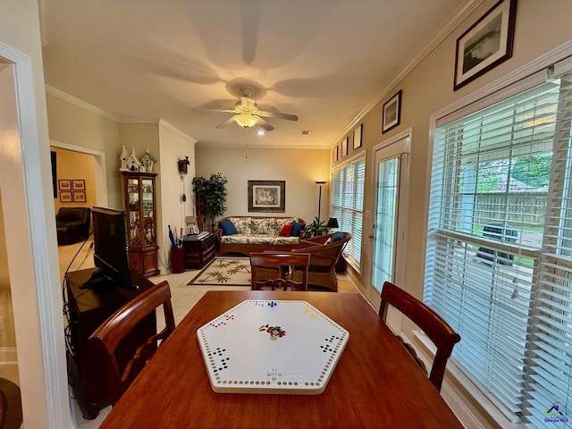 living area featuring ceiling fan and ornamental molding