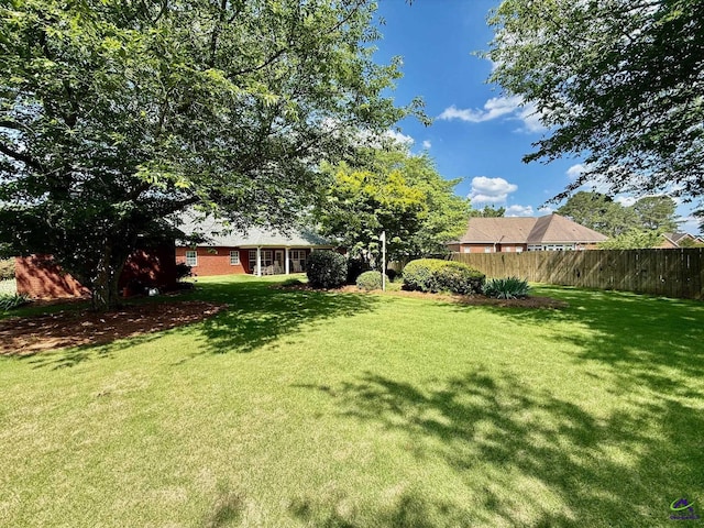 view of yard