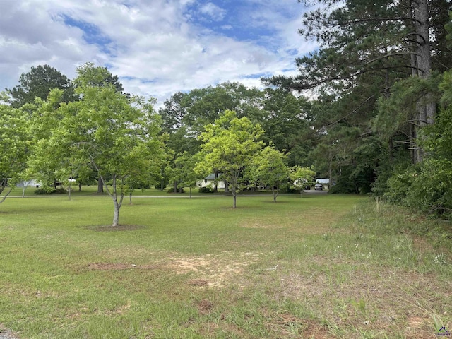 174 Cabero Rd, Hawkinsville, GA 31036 - view of grassy yard