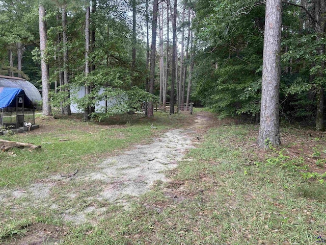 174 Cabero Rd, Hawkinsville, GA 31036 - view of dirt / gravel driveway with a view of trees