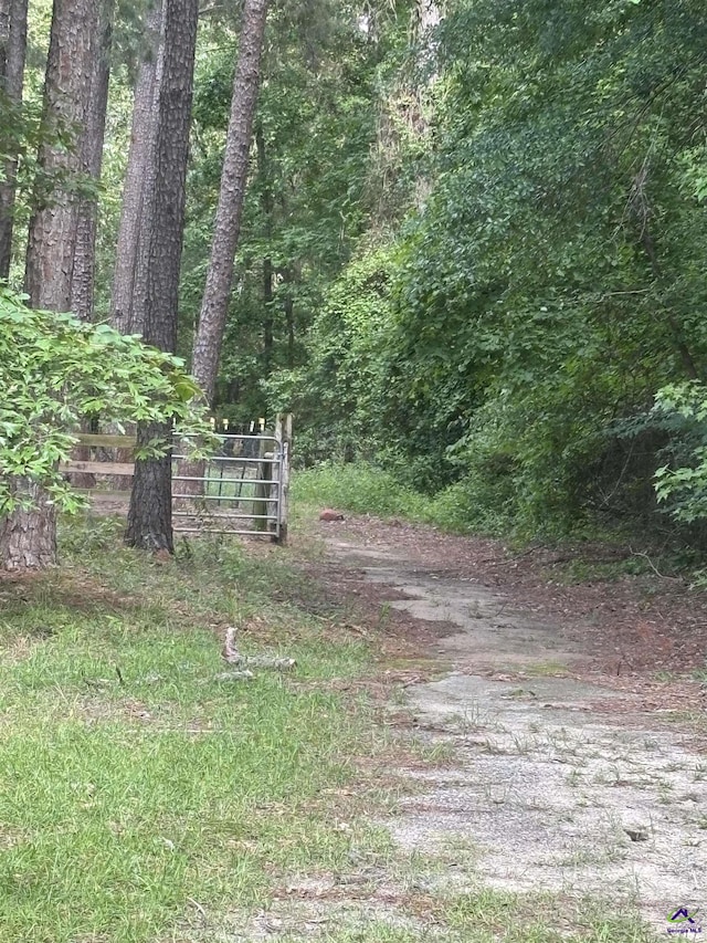 174 Cabero Rd, Hawkinsville, GA 31036 - view of community featuring a forest view and fence
