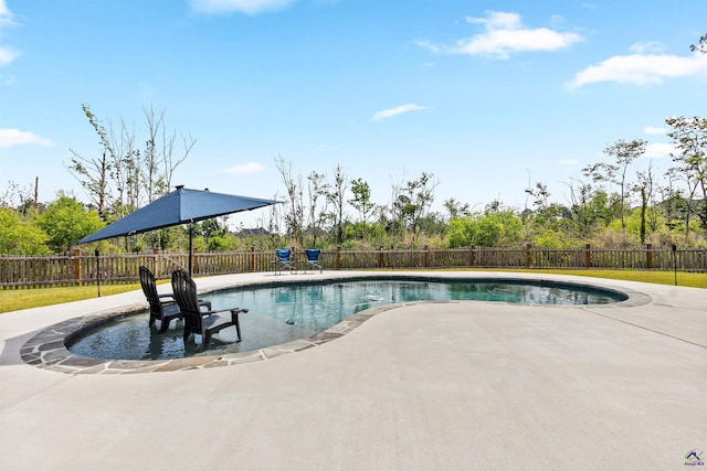 view of swimming pool featuring a patio area and a fenced backyard