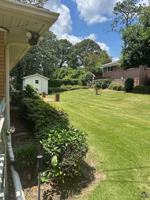 view of grassy yard