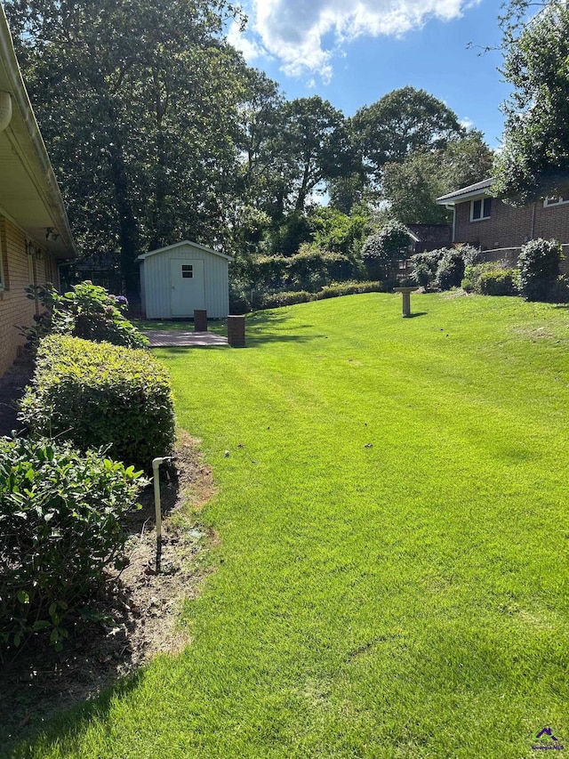 view of grassy yard