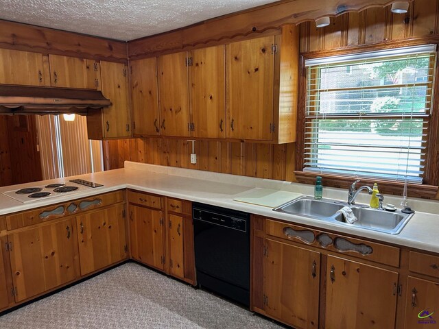 kitchen with dishwasher, light countertops, a sink, under cabinet range hood, and brown cabinetry