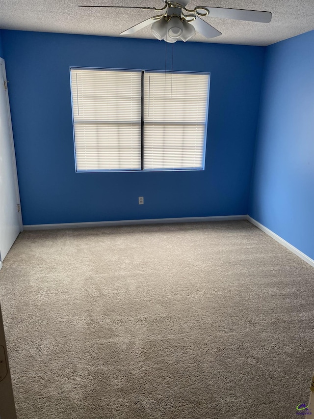 310 Westcliff Ctr, Warner Robins, GA 31088 - empty room featuring a ceiling fan, a textured ceiling, carpet, and plenty of natural light