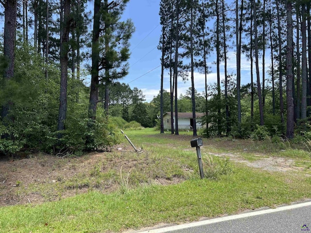 Rock Hill Rd, Cochran, GA 31014