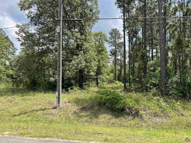 Rock Hill Rd, Cochran, GA 31014