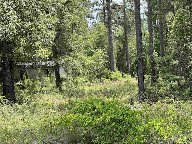 Rock Hill Rd, Cochran, GA 31014