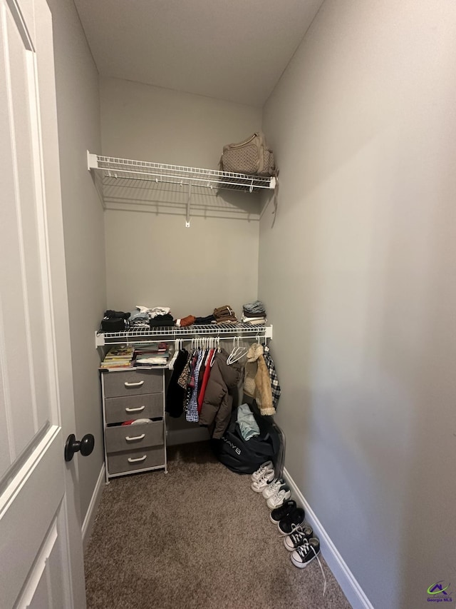walk in closet with dark carpet