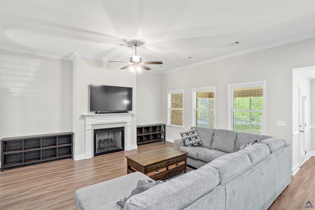 121 Wilsons Creek Bnd, Bonaire, GA 31005 - living area featuring wood finished floors, a ceiling fan, crown molding, a fireplace, and baseboards