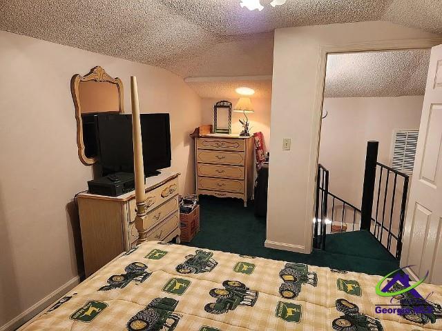 29 Riverview Dr, Hawkinsville, GA 31036 - bedroom featuring a textured ceiling, carpet flooring, and vaulted ceiling