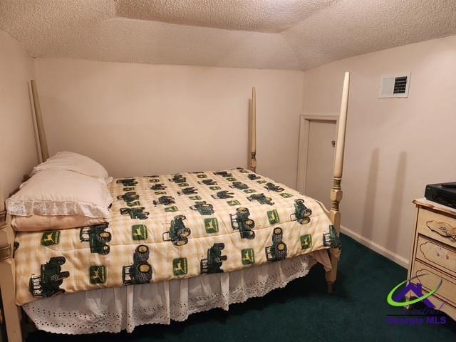 29 Riverview Dr, Hawkinsville, GA 31036 - bedroom featuring a textured ceiling, dark colored carpet, baseboards, and vaulted ceiling
