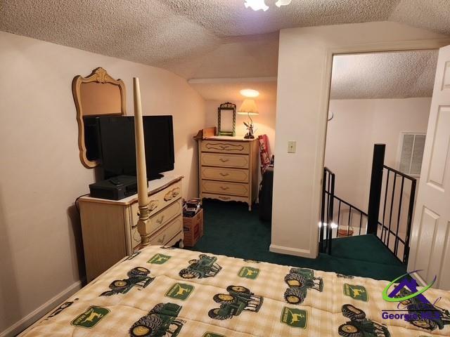 29 Riverview Dr, Hawkinsville, GA 31036 - bedroom with vaulted ceiling, a textured ceiling, and dark colored carpet