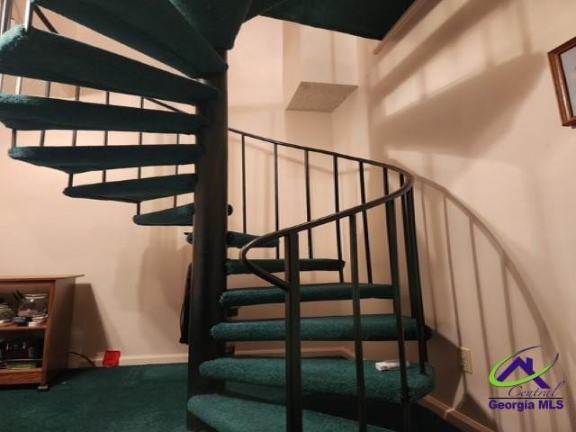 29 Riverview Dr, Hawkinsville, GA 31036 - stairway with carpet floors and baseboards