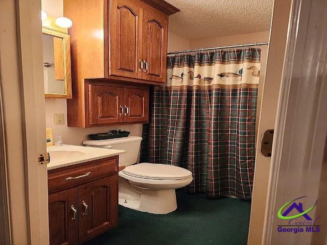 29 Riverview Dr, Hawkinsville, GA 31036 - full bath featuring a textured ceiling, vanity, toilet, and curtained shower
