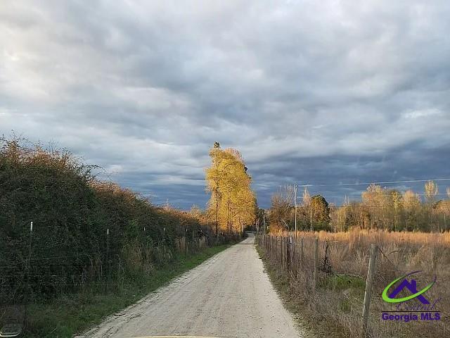 29 Riverview Dr, Hawkinsville, GA 31036 - view of dirt / gravel road