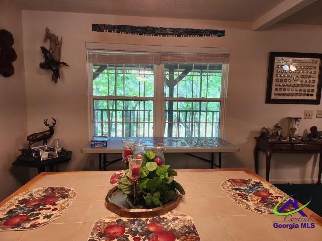 29 Riverview Dr, Hawkinsville, GA 31036 - tiled dining space with plenty of natural light