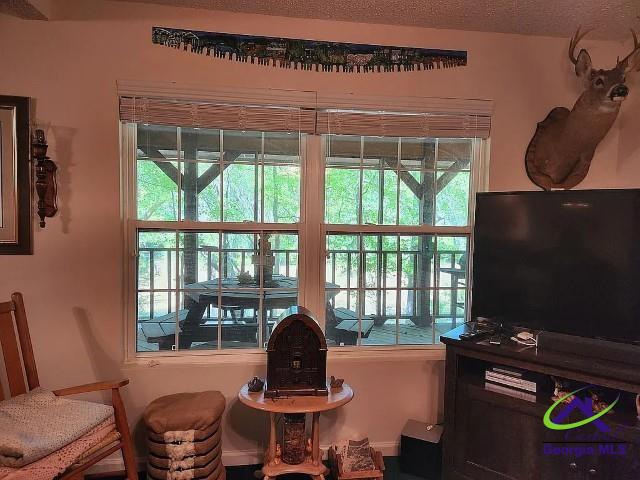 29 Riverview Dr, Hawkinsville, GA 31036 - view of living area