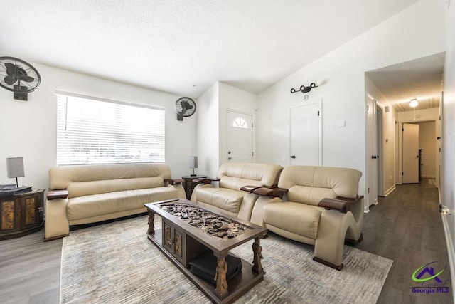 living room featuring wood finished floors