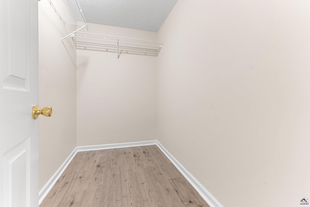 spacious closet with light wood-type flooring