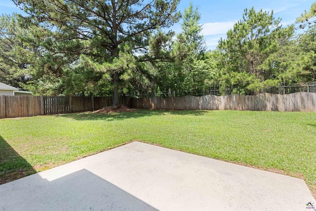 view of yard with a patio area