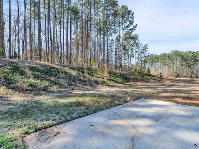 427 Oscar Ct, Mcdonough, GA 30252 - view of yard with a patio and a wooded view