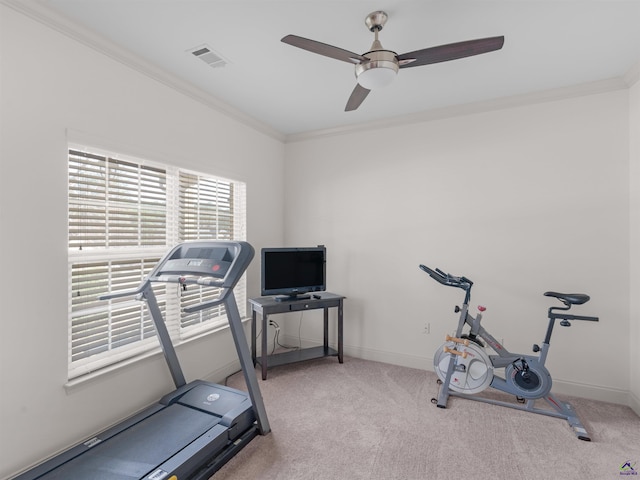 427 Oscar Ct, Mcdonough, GA 30252 - exercise area with carpet, ornamental molding, ceiling fan, and baseboards