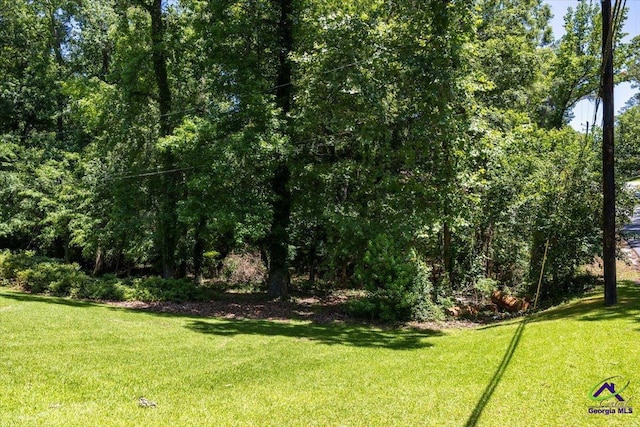 3015 Clairmont Ave, Macon, GA 31204 - view of grassy yard